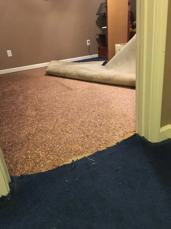 Carpet pad removal revealing water damage during Water Mitigation Services in South Ogden