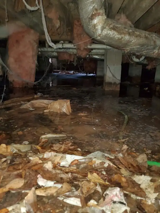 Crawl space flood assessment for Leak Detection & Repair in South Ogden