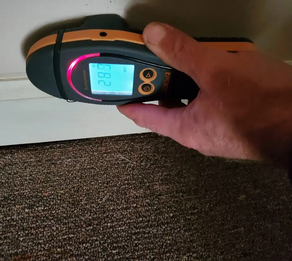 Moisture detection at baseboard during Sewage Cleanup & Sanitation in South Ogden